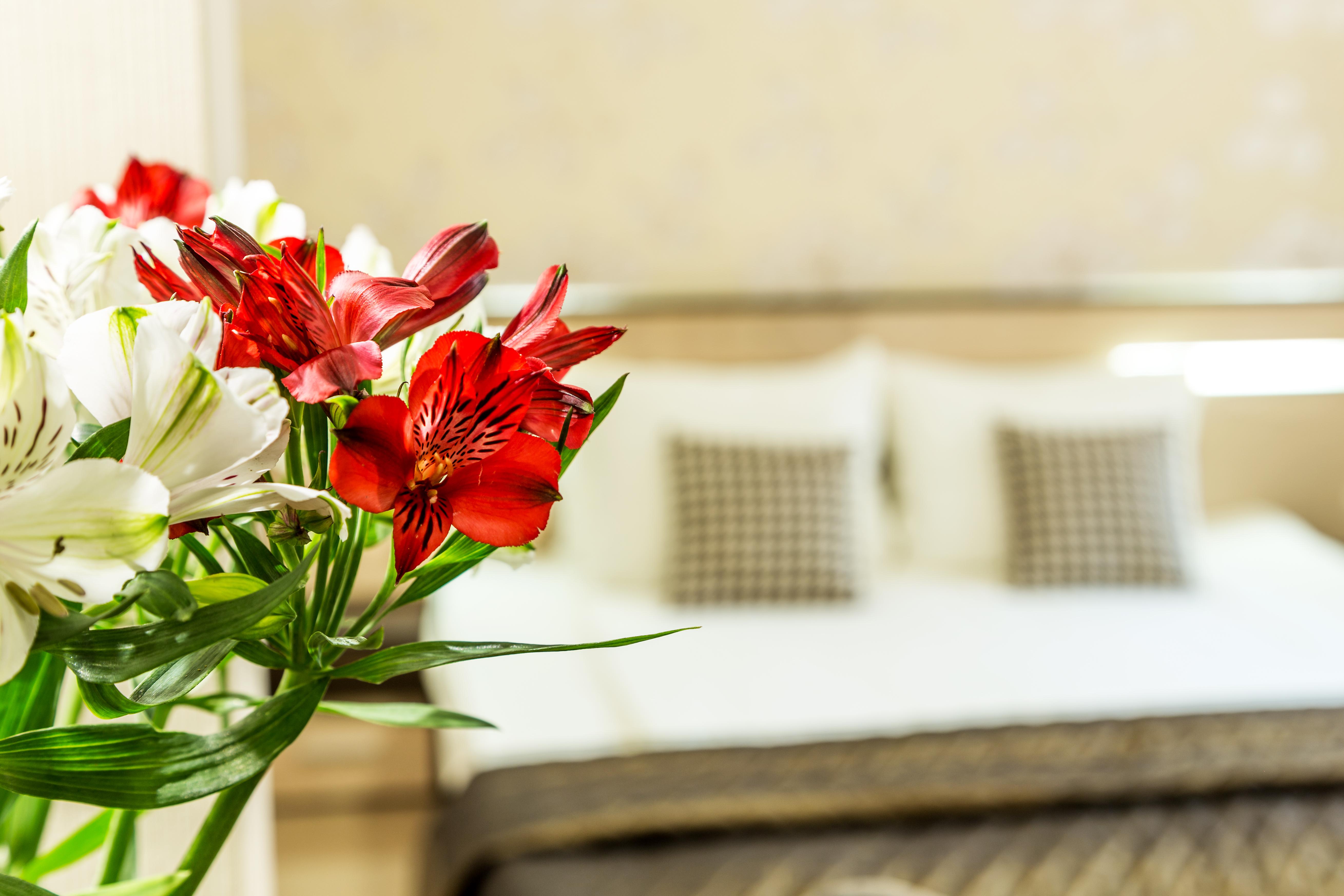 City Avenue Hotel By Hmg-Free Parking-Free Wi-Fi صوفيا المظهر الخارجي الصورة